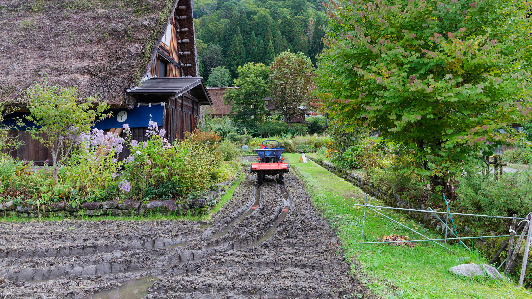 06-Shirakawa-go (13).jpg